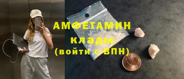 дмт Весьегонск